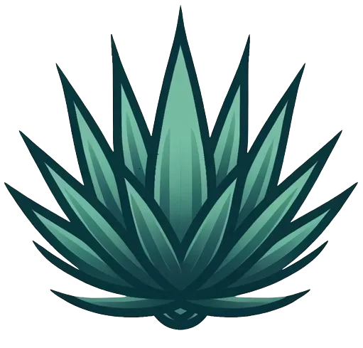 Freelance Web Development and Digital Strategy